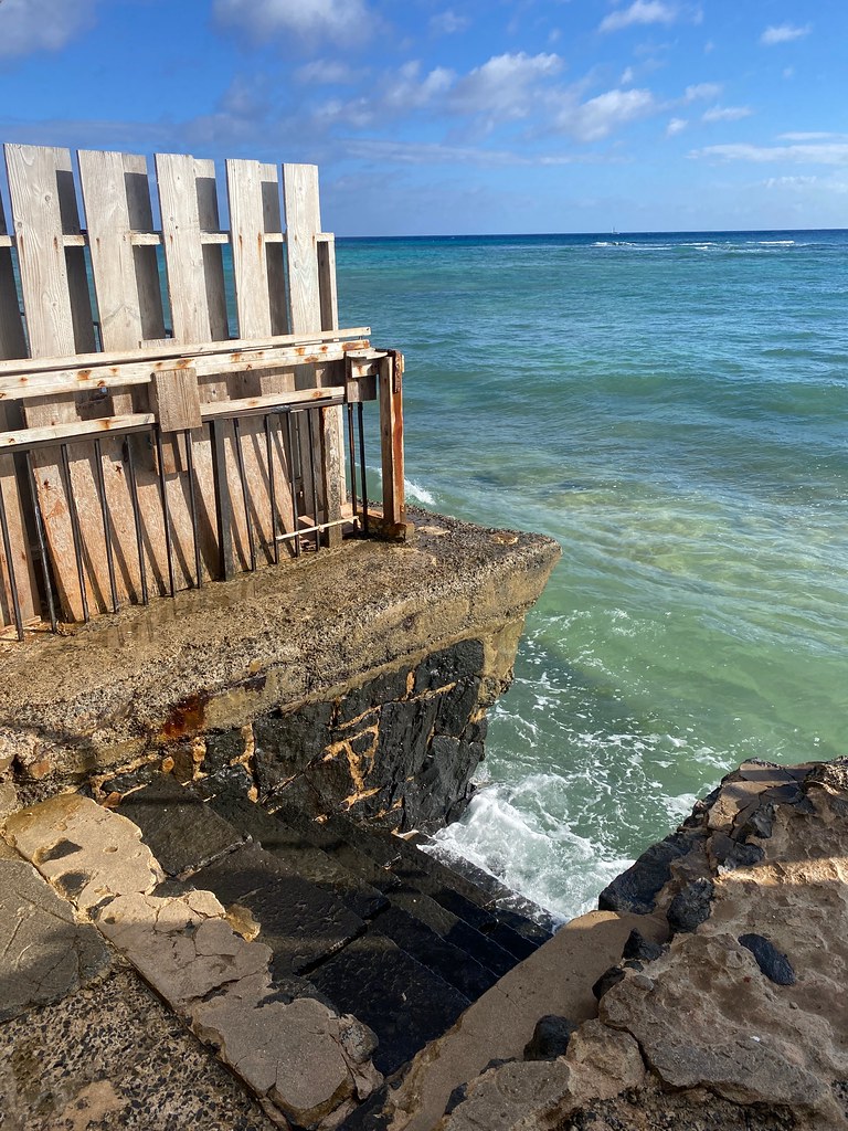 Tonggs Beach jericl cat Flickr