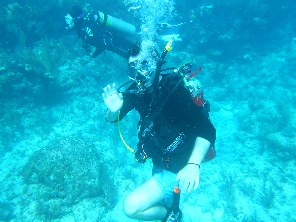 Dive Key Largo Florida (32) Sail Fish Scuba Flickr
