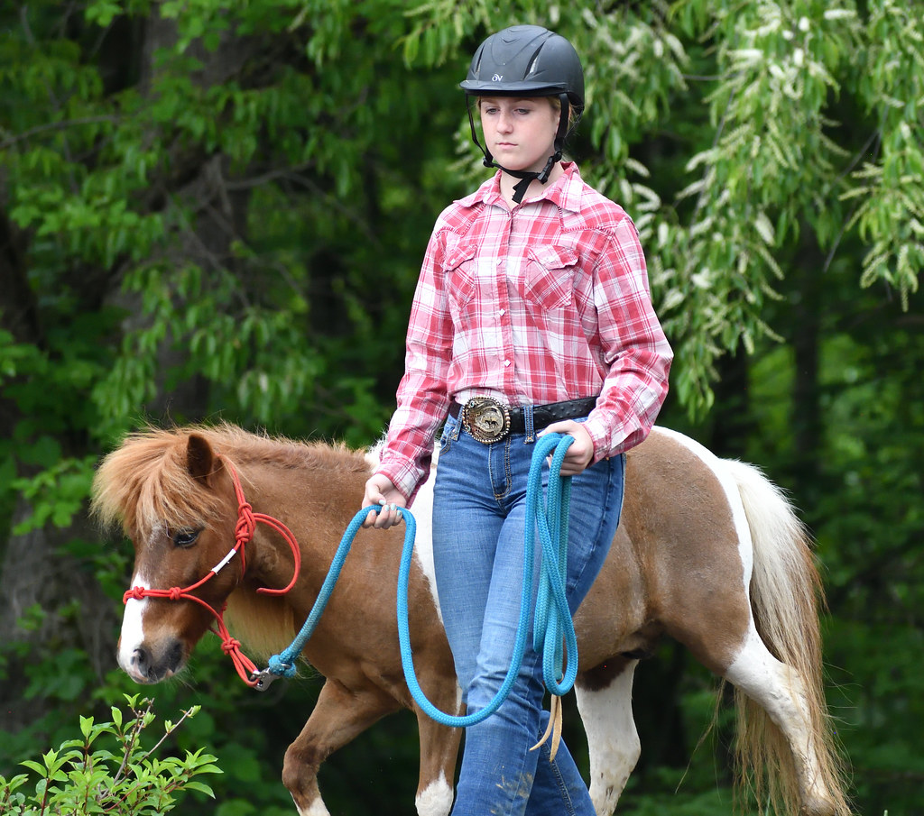 CRD_4435 Creek Side Horse Park Flickr