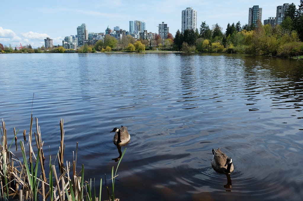 12 Best Things To Do In Stanley Park, Vancouver In Love With BC