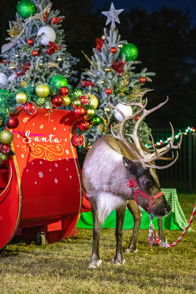 Christmas In the Park Visit College Station Flickr