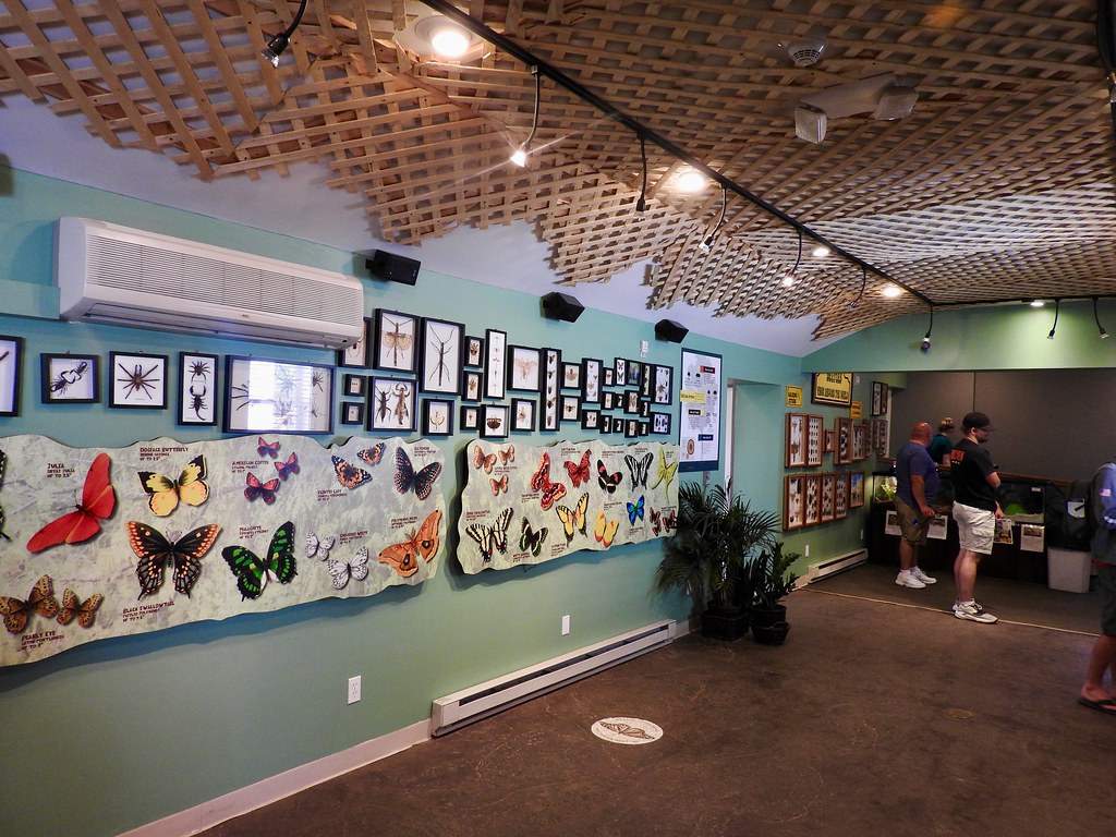 Original Mackinac Island Butterfly House The Original Mack… Flickr