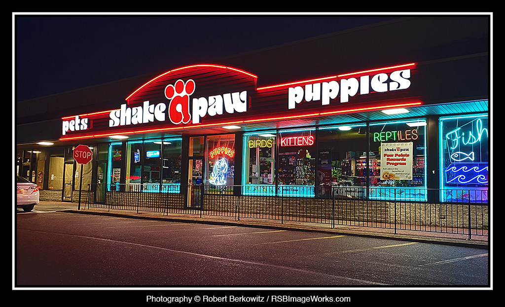 ShakeAPaw, Hicksville, NY (Image 001 07/12B/22) Flickr