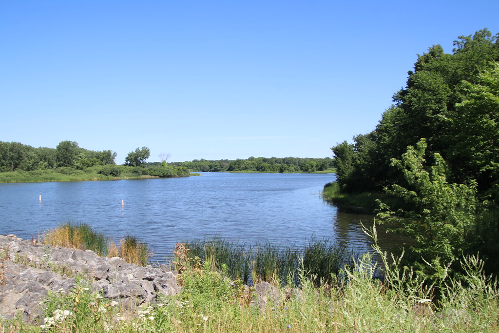 Visit to Busse Woods (Elk Grove Village, Illinois) July … Flickr