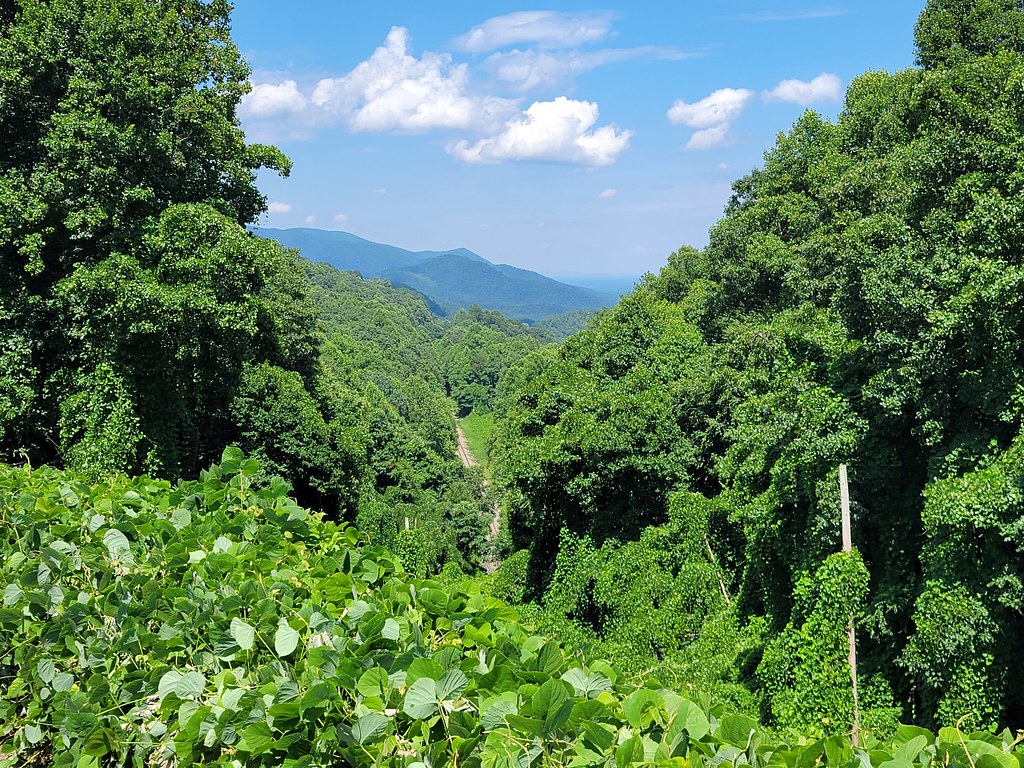 Swannanoa Gap View of the Royal and Norfolk Southern… Flickr