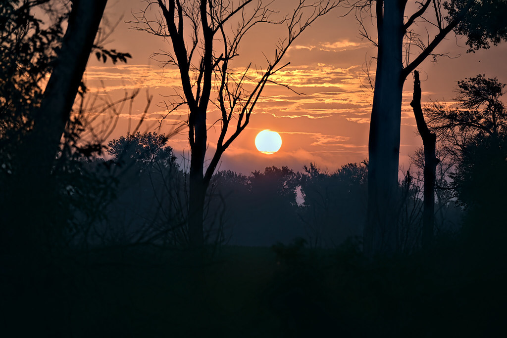 NP Dodge Park Omaha Nikon Z 5 NIKKOR Z 24200mm f/46.3 VR… Philip Craft Flickr