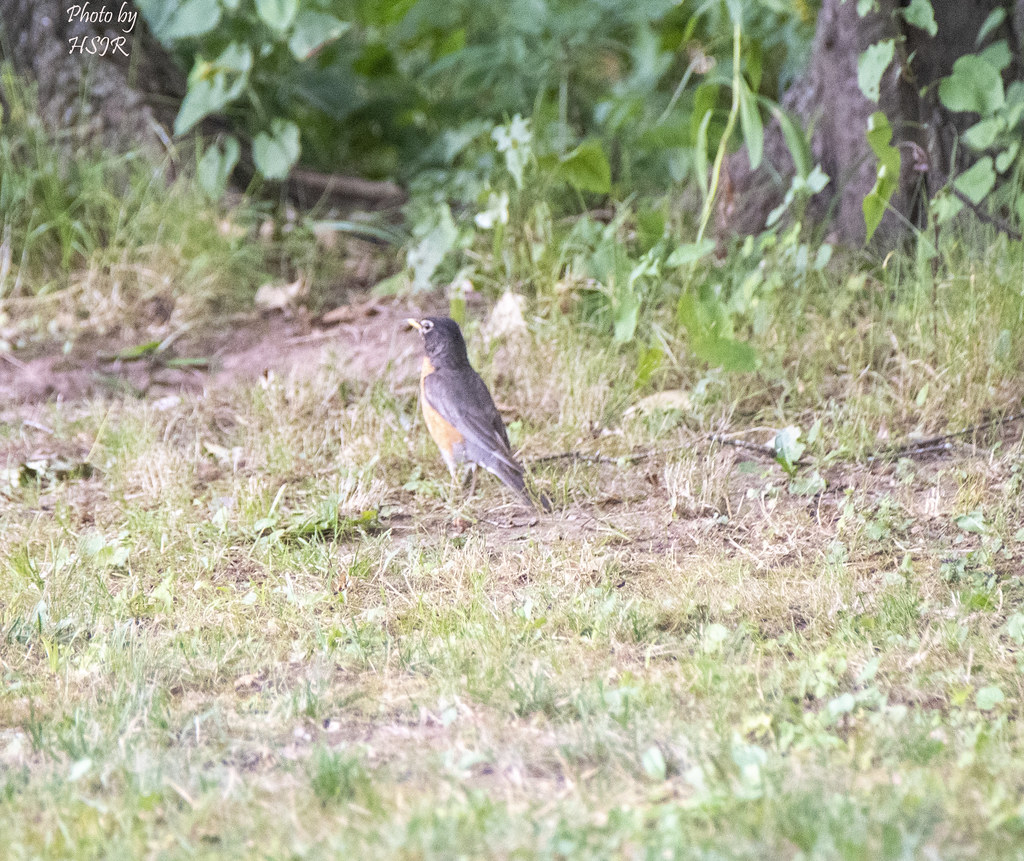 Camping in Gilboa New York 46 Camping at Nickerson Park … Flickr