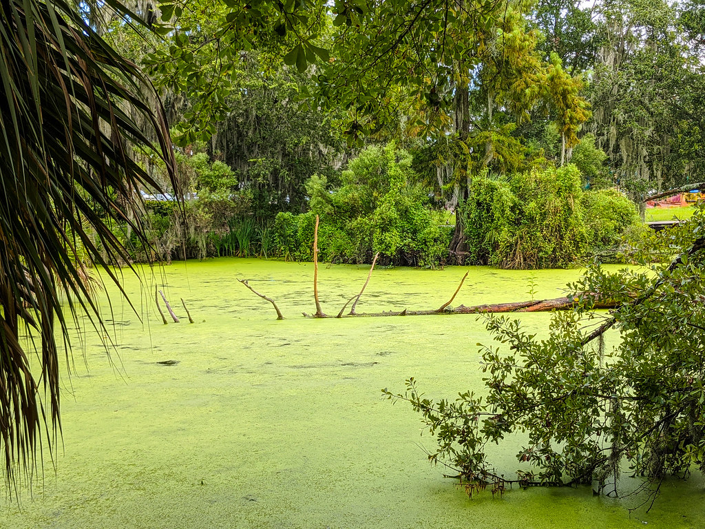 Green Lagoon Bart Everson Flickr