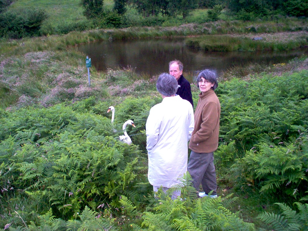 Picture 129 IM000294.JPG Heidi Bird Flickr