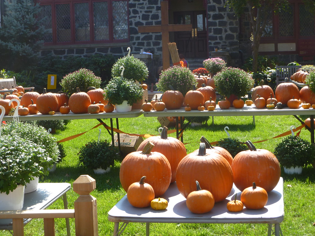 Pumpkins for Sale Norman Gates Flickr
