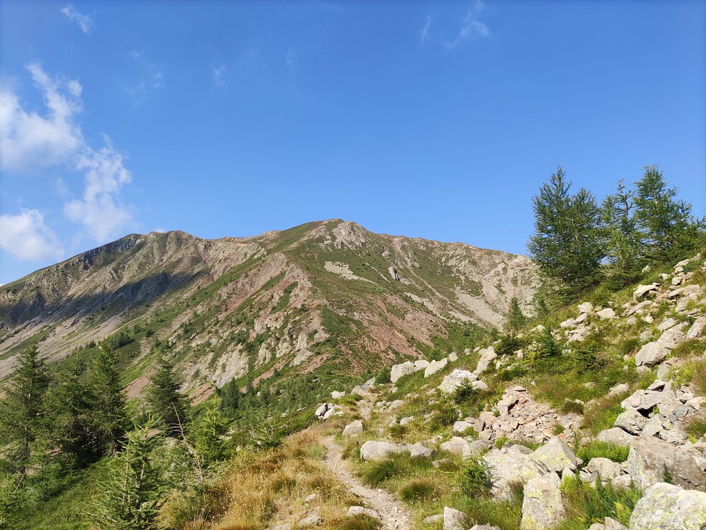 And for your love I would do anything Just to see the … Flickr