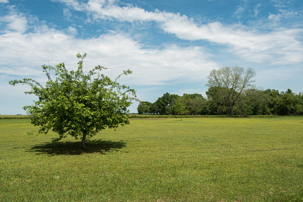 Elko, Houston County, jwcjr Flickr