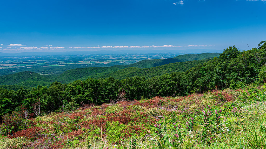 Wildcat Ridge from Crimora Lake Overlook (Right Side) MP… Flickr