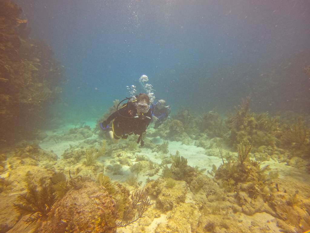 dive key largo (94) DCIM\100GOPRO\GOPR3803.JPG Sail Fish Scuba Flickr