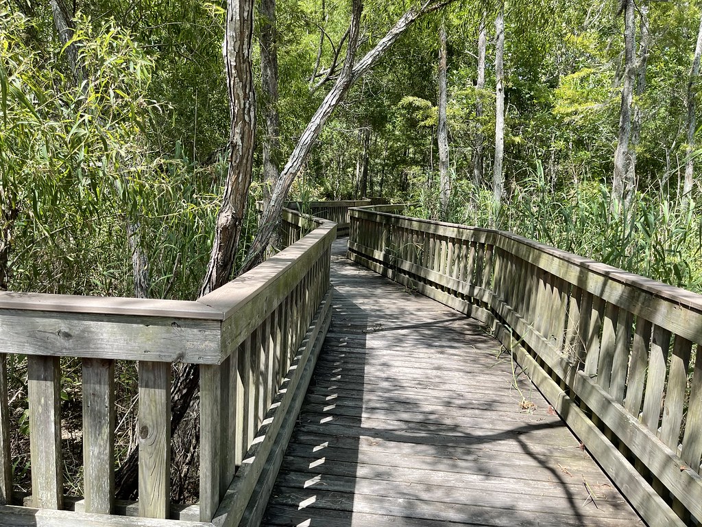 Cypress Trees Anahuac National Wildlife Refuge Jim Whitaker Flickr