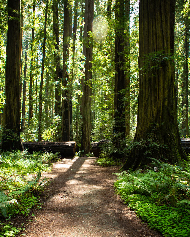 Humboldt County Flickr