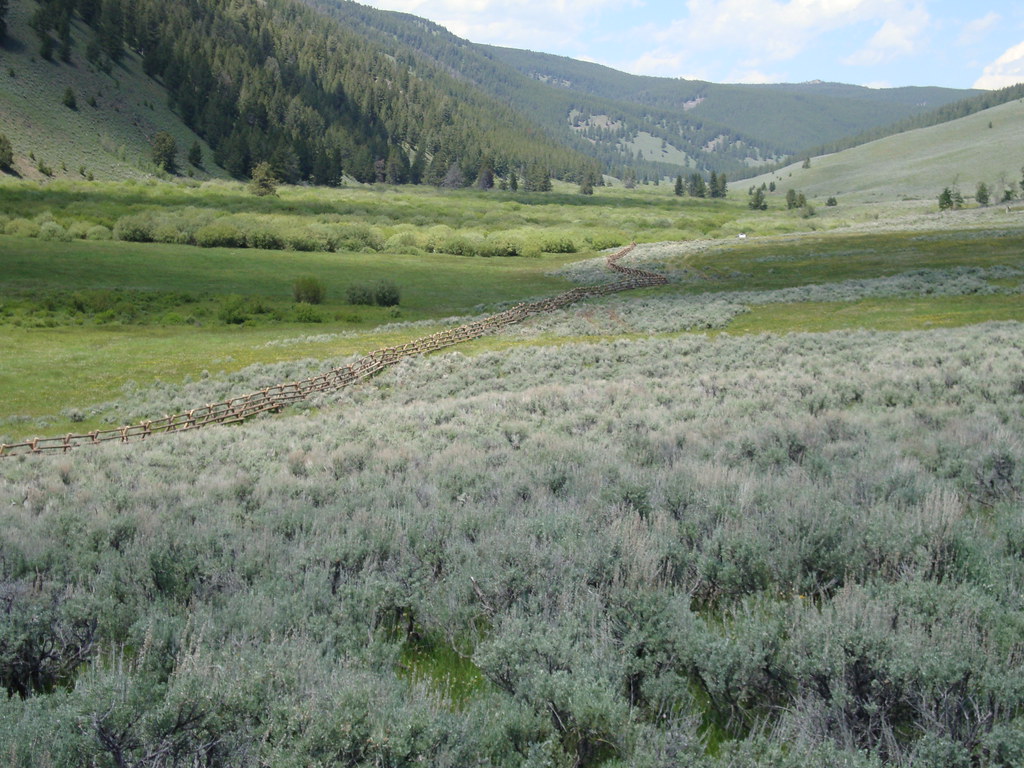 Sagebrush Idaho. Credit USFWS USFWS MountainPrairie Flickr