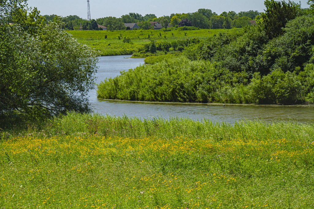 Buffalo Creek Illinois Forest Preserve Dedication 72022_… Flickr
