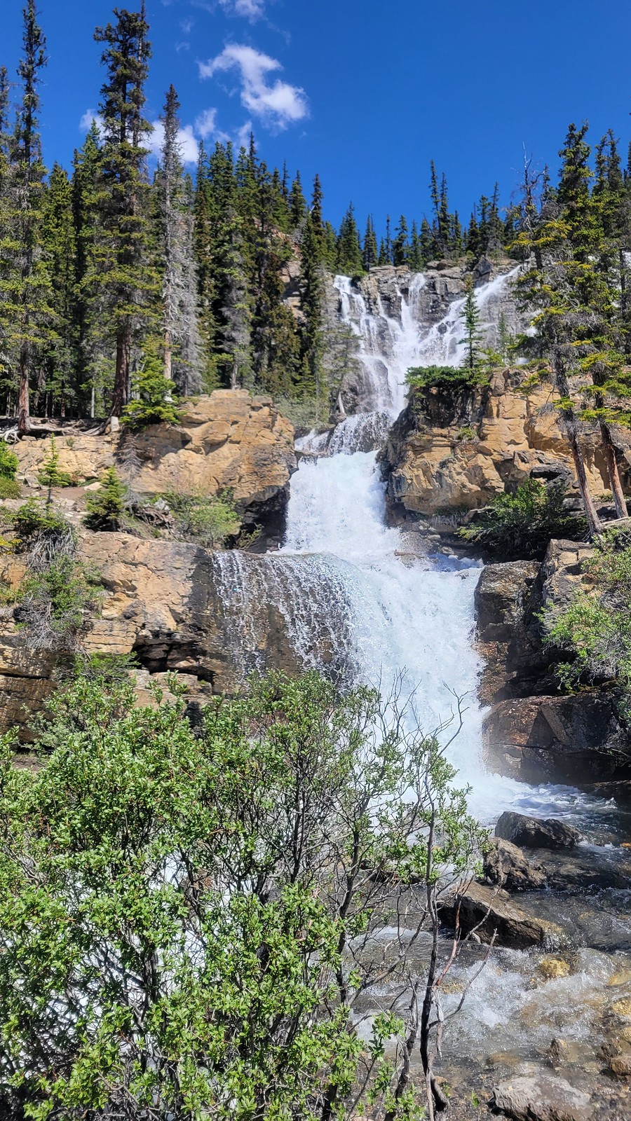 Jasper AB July 2022 Flickr