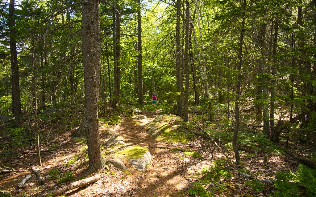 A lower section of the East Gilford Trail In the Belknap M… Flickr