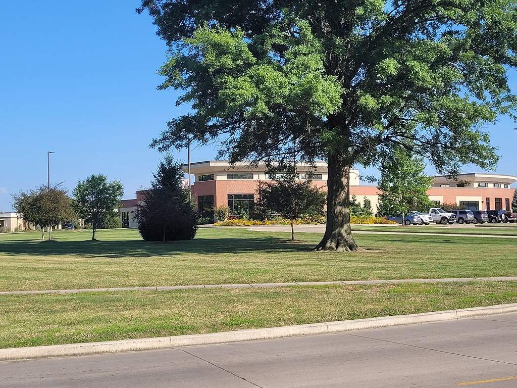 landscape (5) Victoria Denison Flickr