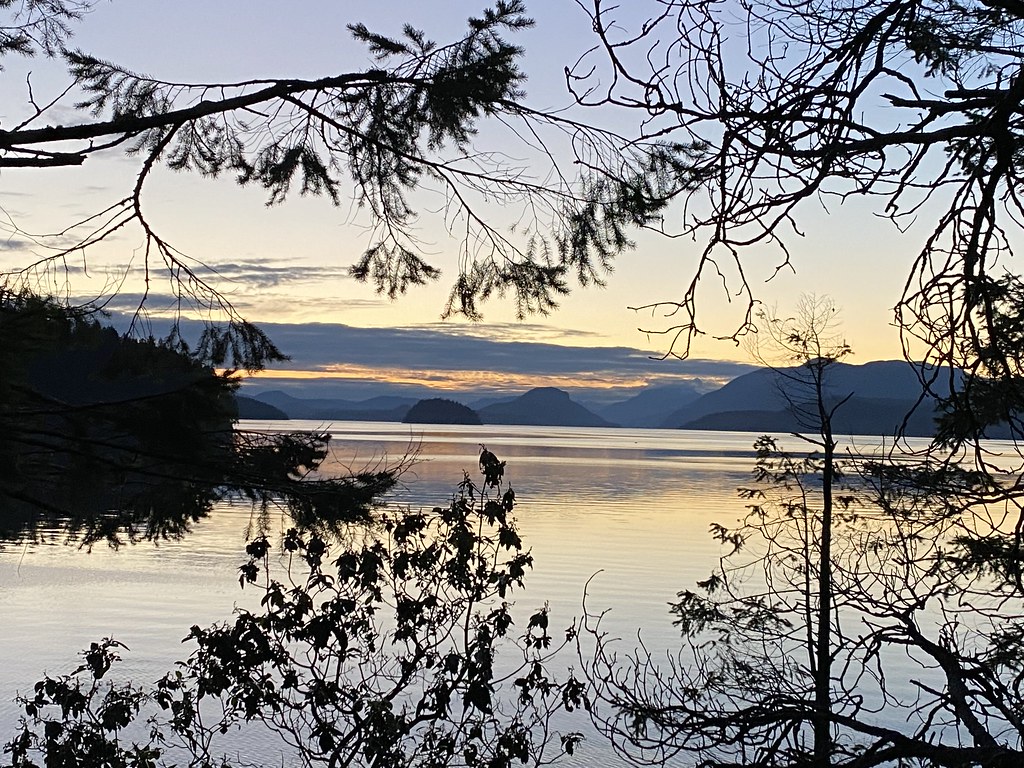 Desolation Sound Oysters Carla Rokochy Flickr