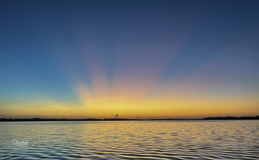 sunrise iPhone photo Central Florida sunrise. IPHONE 12 P… Flickr