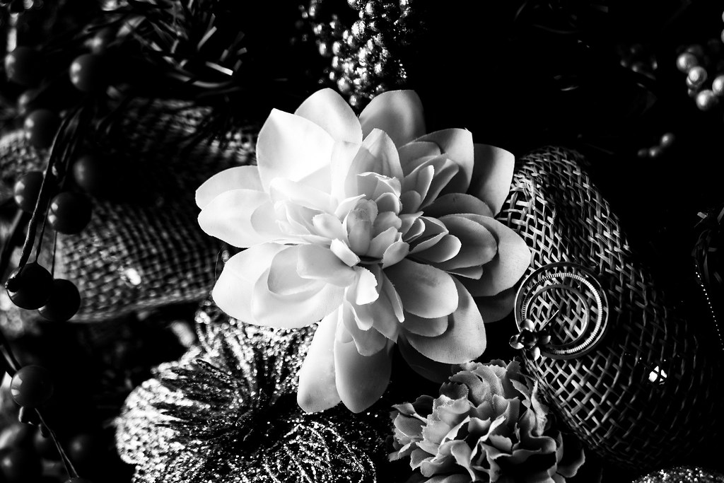 Fake Flower 31 01 22 Andrew Lodge Flickr