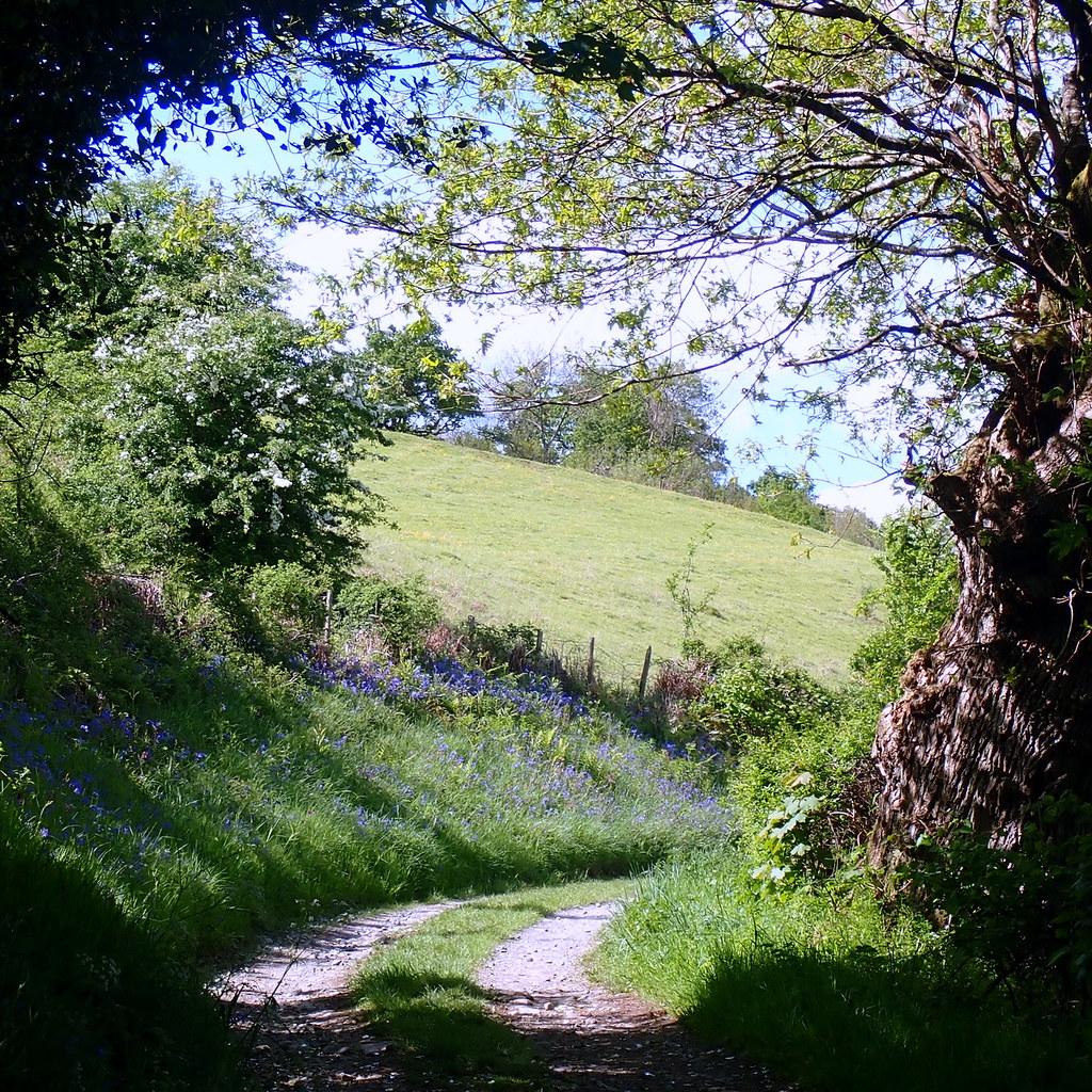 Wye valley track Near Newbridge on Wye, heading towards Ll… Andrew