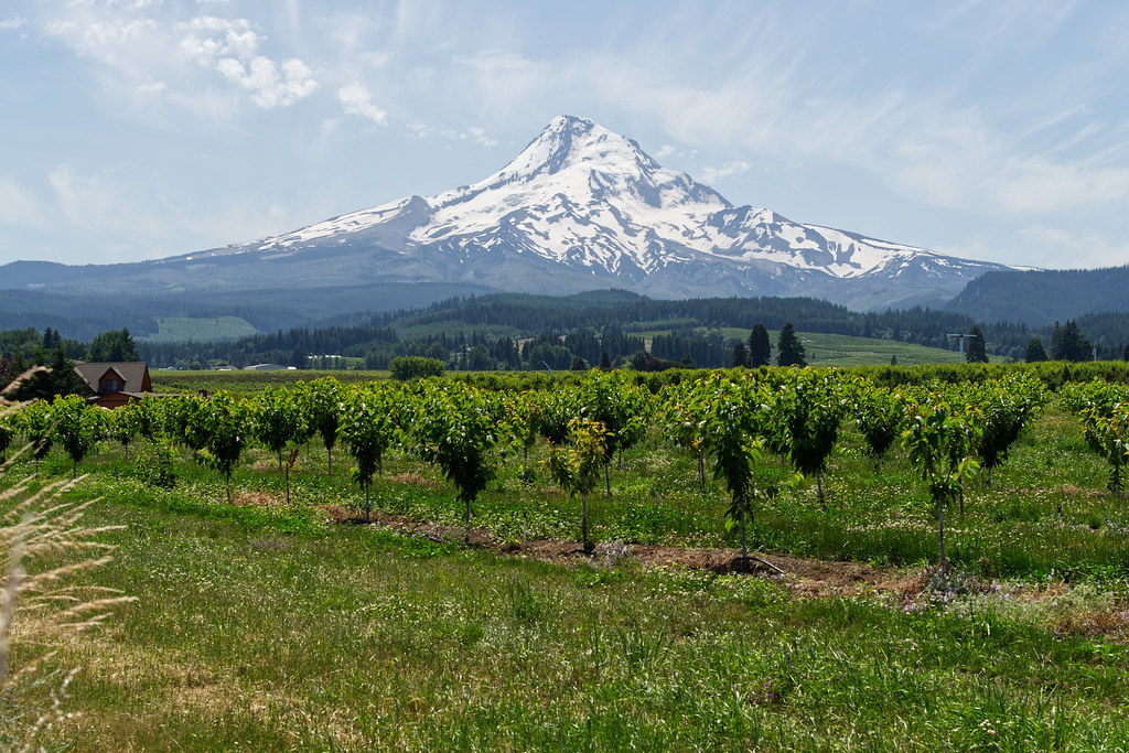 Mt Hood Parkdale Todd Ar Flickr