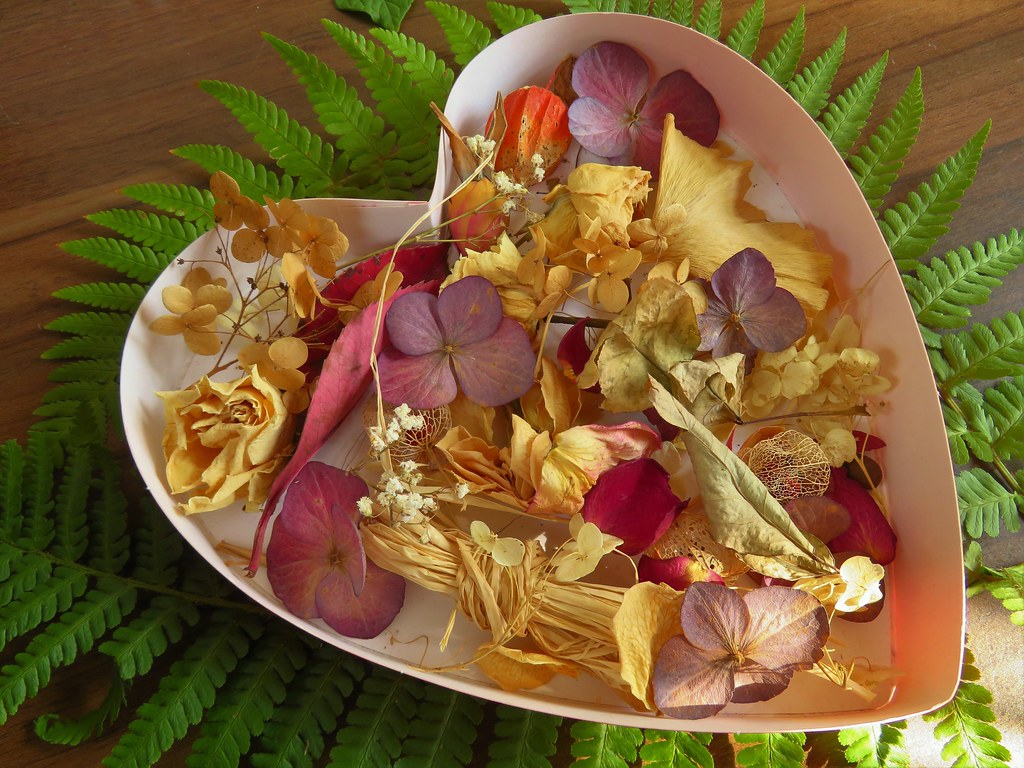 Dried flowers and leaves... in a heartshaped paper box… Flickr