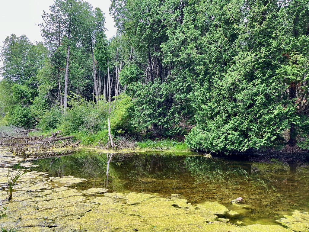 Mackinac's Orbit, Part 10 (Into the Highlands) Twelve Mile Circle An Appreciation of Unusual