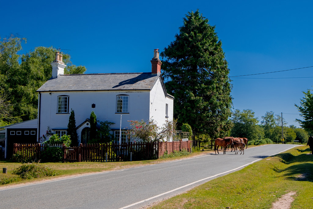 Hampshire & The New Forest & Dorset Deirdre Gregg Flickr