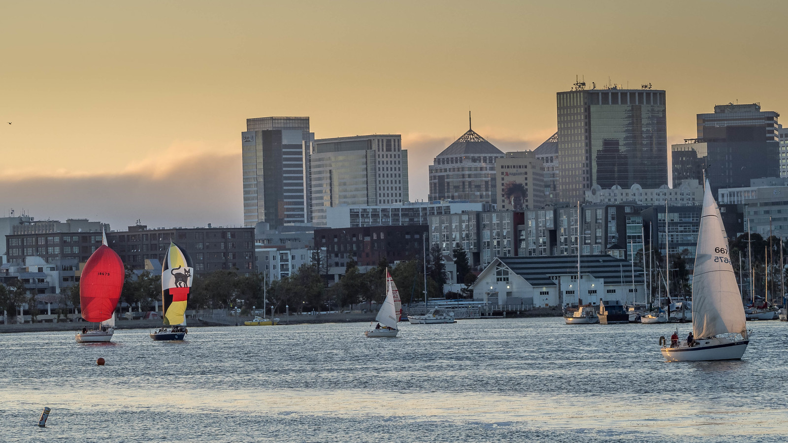 2022 Sailing Races 7/13 Flickr