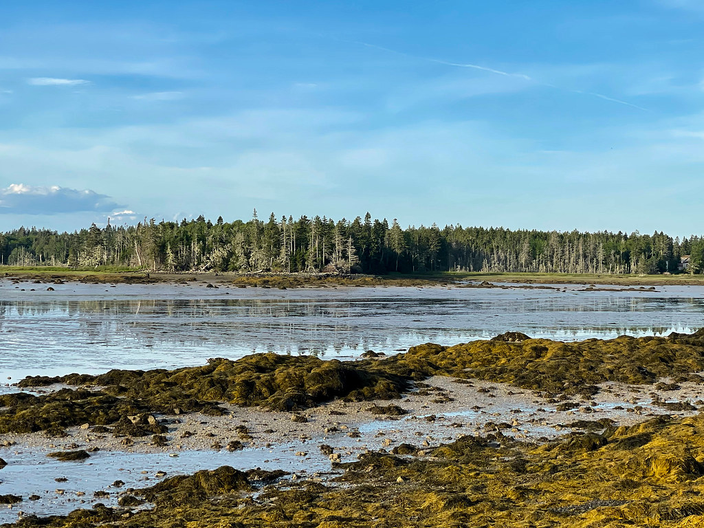 Cape Split Addison ME Dave Harrington Flickr