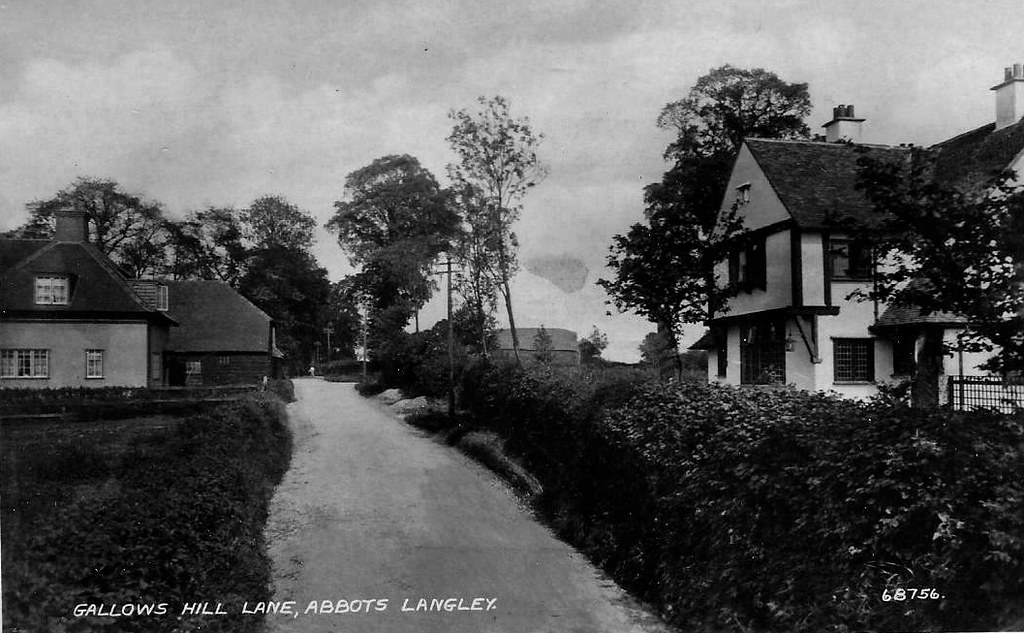 Gallows Hill Abbots Langley 1930. terry trainor Flickr