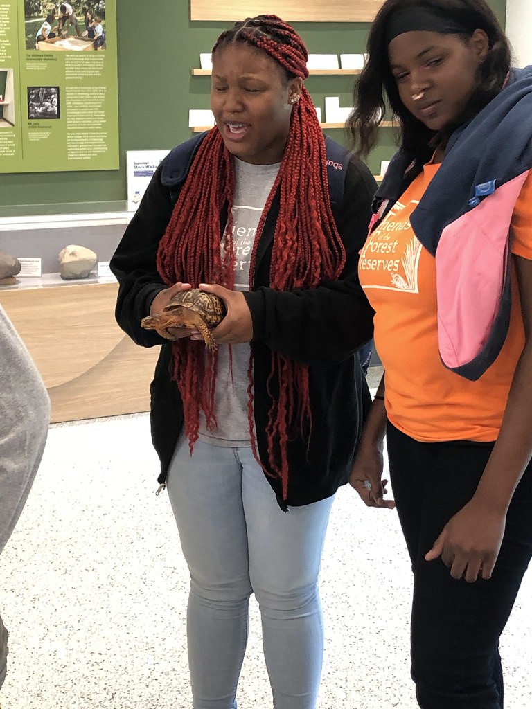 Cooler in the Woods Forest Preserve Experience Flickr