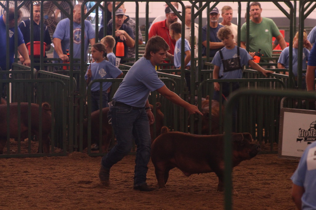 2022 4H Swine Judging Market Barrows Camera Corps Flickr