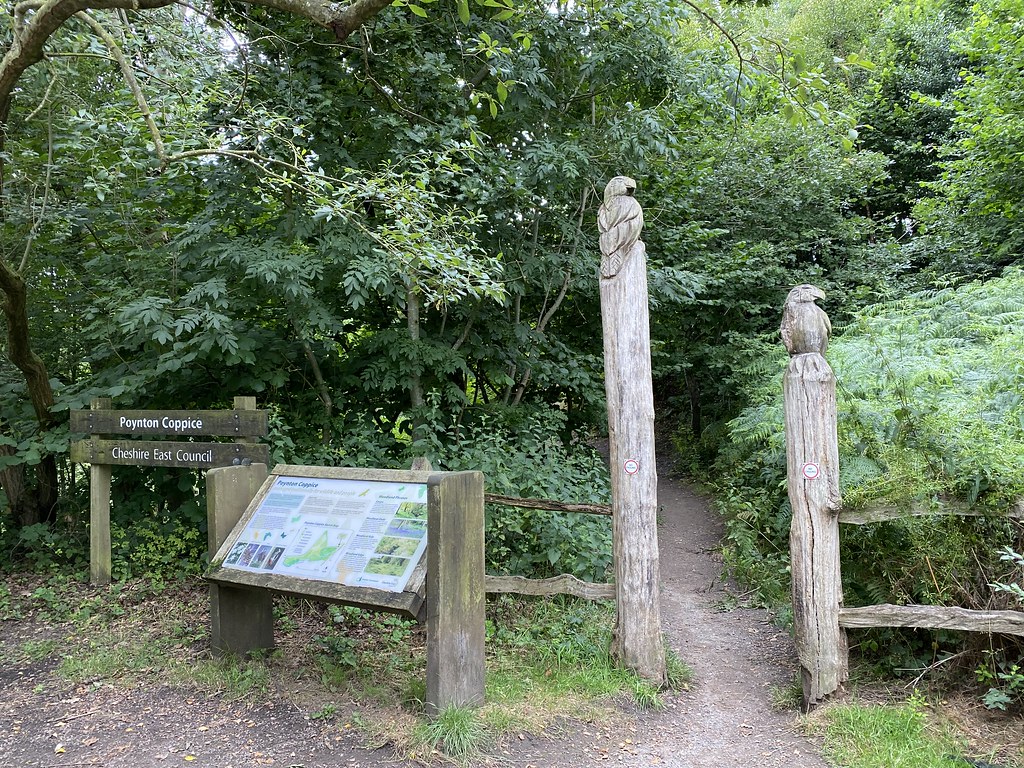 Poynton Coppice Entrance to Poynton Coppice, Poynton Rustic