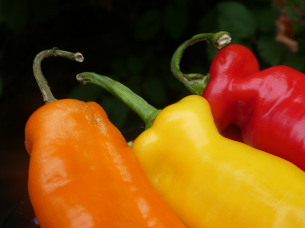 Colorful long hot peppers..... WARREN FIELDS Flickr