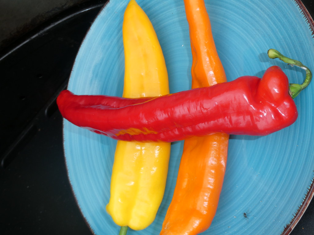 Colorful long hot peppers..... WARREN FIELDS Flickr