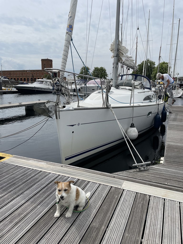Ted’s boat. Chris O'Donoghue Flickr