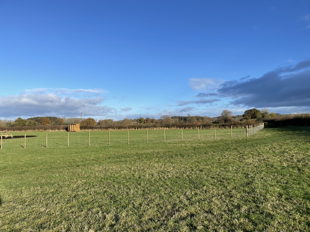 Lower Knole Farm Coforest (SGP235.01) Photo 1 One Tree Planted Flickr
