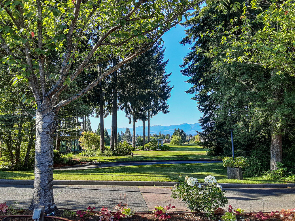 20220726_091226 Crown Isle resort, Courtenay City Of Rain Flickr