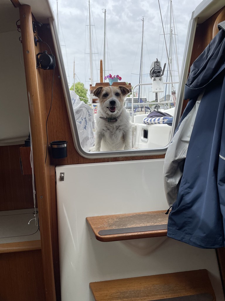 Ted’s boat. Chris O'Donoghue Flickr