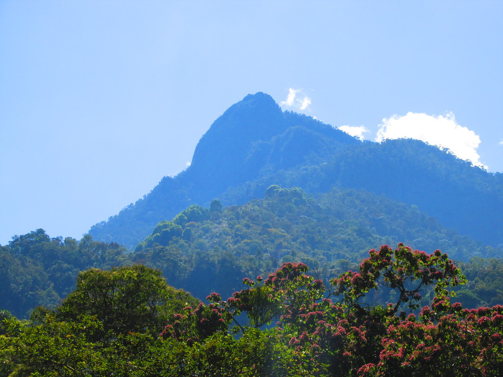 Pico de Loro, PNN Farallones de Cali, Valle, Colombia Flickr