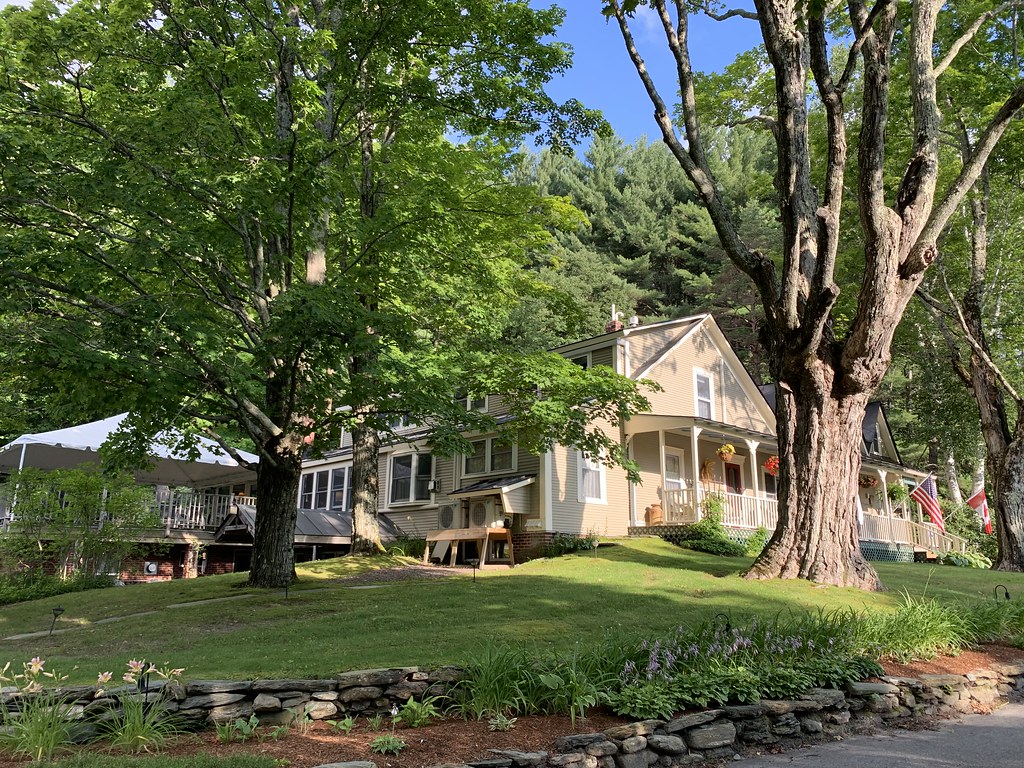 Morning at West Hill House B&B, Warren, Vt. grosbeak_1 Flickr