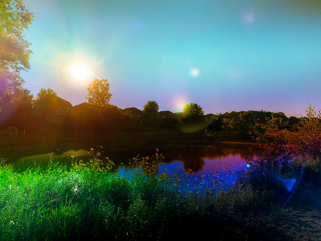 D'Aubigny Creek Wetlands Paul Joseph Flickr