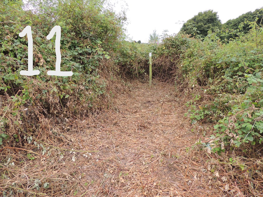 Lichfield Canal L230 Muckley Corner Common 027 The Lichf… Flickr