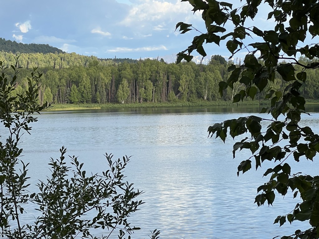 170. Hiking in the Talkeetna Lakes Park, Talkeetna, Alaska… Flickr
